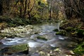 Hubelj_03.jpg