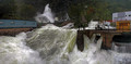 poplavepanorama1.jpg