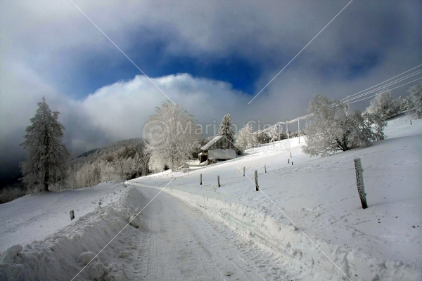 Klikni za ogled večje slike