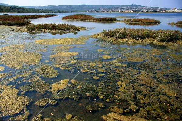 Klikni za ogled večje slike