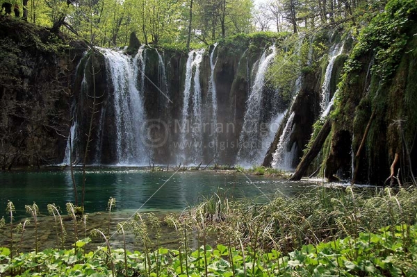 Klikni za ogled večje slike