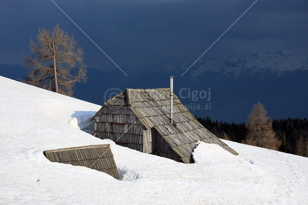 Klikni za ogled večje slike