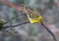 Ime datoteke=Grilcek_Serin_14.jpg
Velikost datoteke=239KB
Dimenzija=900x627
Datum objave=01.12.2013 Grilcek_Serin_14.jpg
