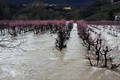 Poplave_Zalosce_02.jpg
