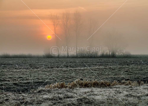 Klikni za ogled večje slike