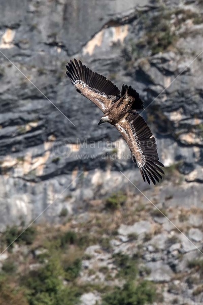 Klikni za ogled večje slike