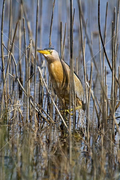Klikni za ogled večje slike