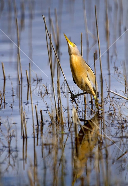 Klikni za ogled večje slike