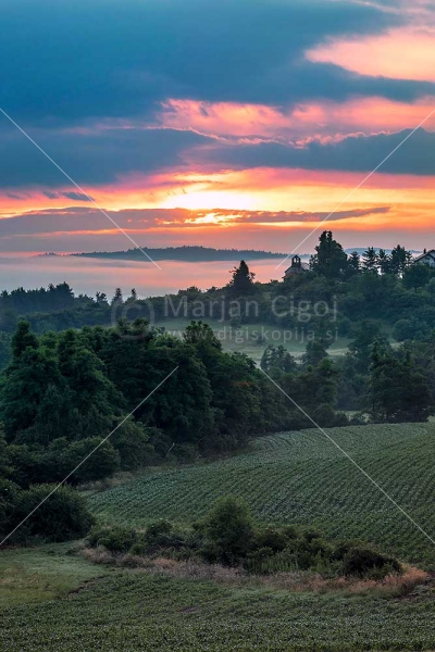 Klikni za ogled večje slike