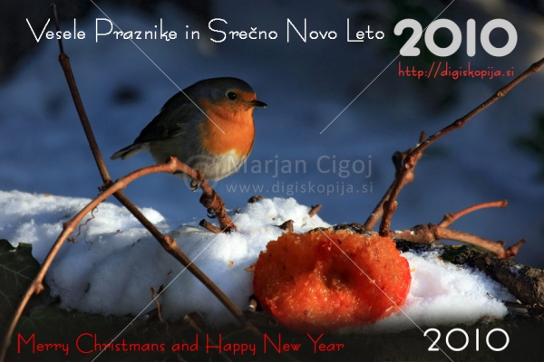 Klikni za ogled večje slike