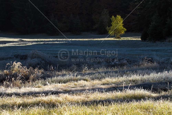 Klikni za ogled večje slike