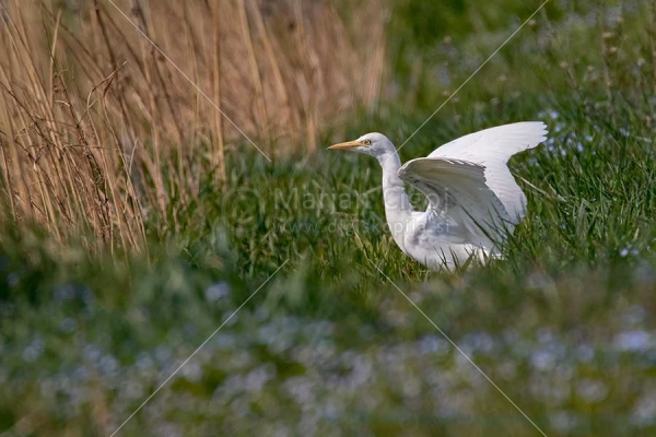 Klikni za ogled večje slike