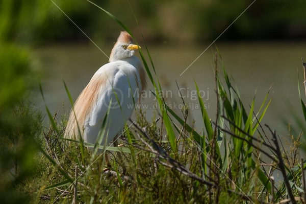 Klikni za ogled večje slike
