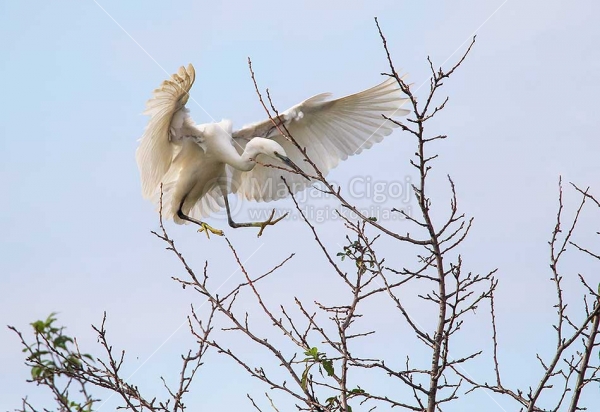 Klikni za ogled večje slike