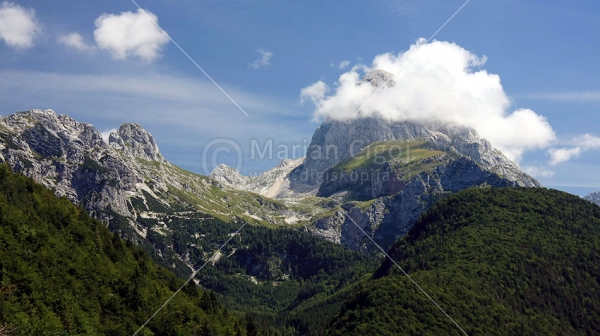 Klikni za ogled večje slike