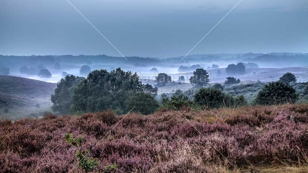 Klikni za ogled večje slike