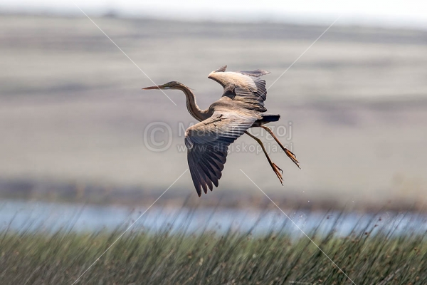 Klikni za ogled večje slike
