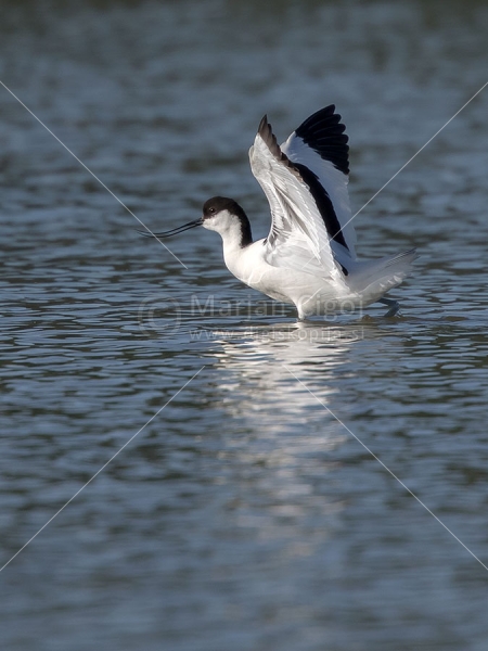 Klikni za ogled večje slike