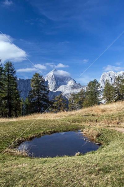 Klikni za ogled večje slike