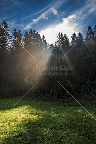 Klikni za ogled večje slike