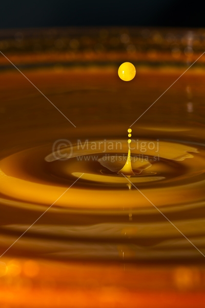 Klikni za ogled večje slike