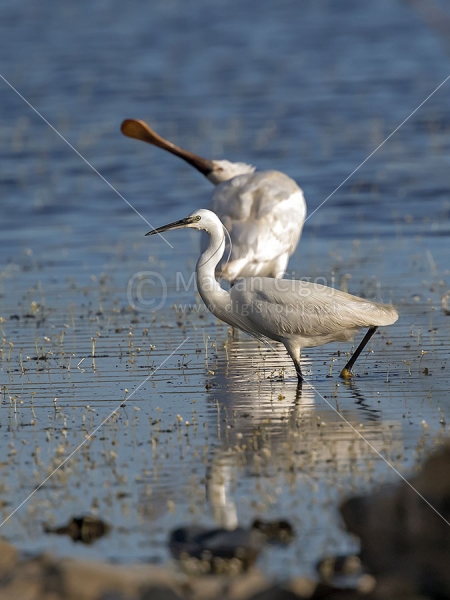 Klikni za ogled večje slike