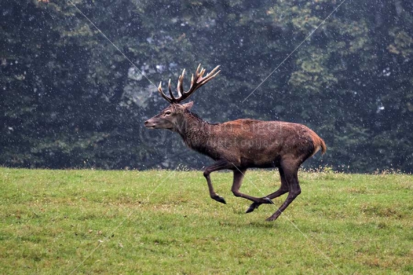 Klikni za ogled večje slike