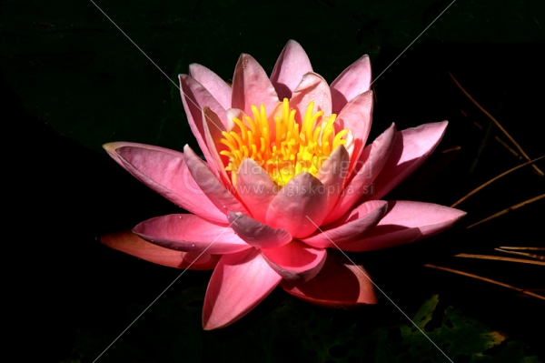 Klikni za ogled večje slike