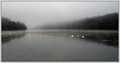 Zbiljsko_jezero_01.jpg