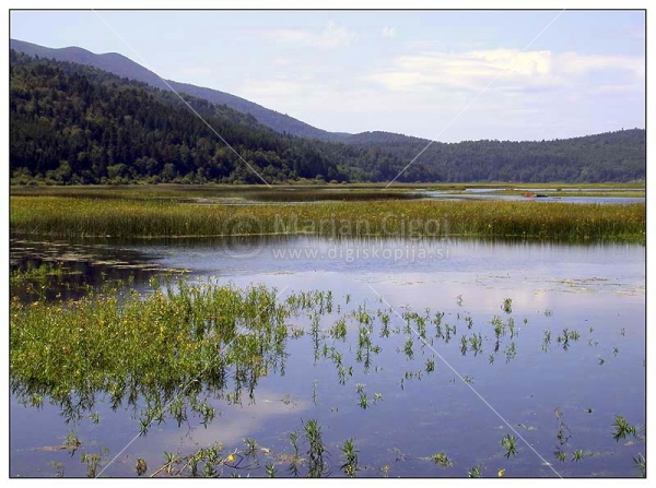 Klikni za ogled večje slike