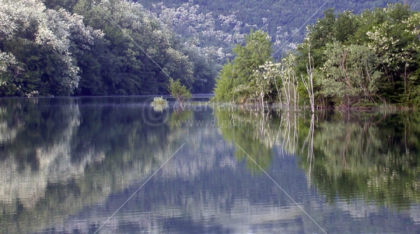 Klikni za ogled večje slike