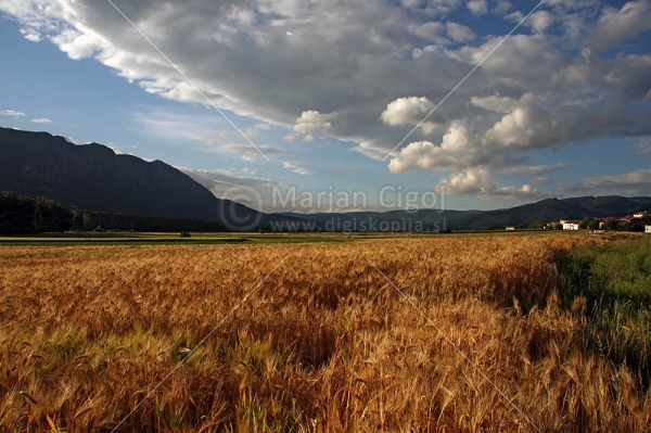 Klikni za ogled večje slike