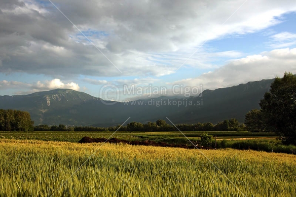 Klikni za ogled večje slike