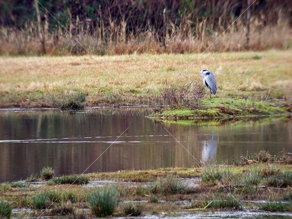 Klikni za ogled večje slike